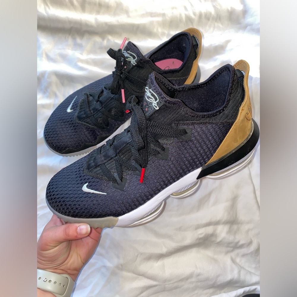 Nike LeBron 16 Low 'Soundtrack Black Shoes